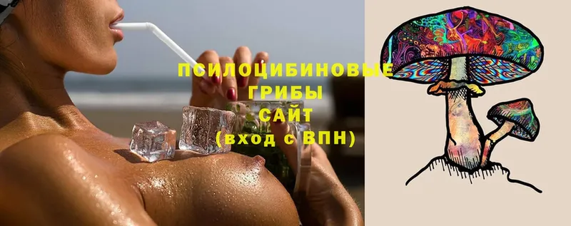 Галлюциногенные грибы мицелий  omg ССЫЛКА  Лихославль 